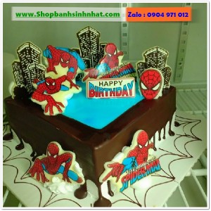 Bánh Sinh Nhật Socola - S376